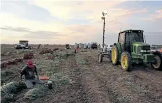  ?? GUILLERMO ARIAS/ GETTY FILES ?? Day labourers harvest chives at a field in the Mexicali Valley, Baja California state, Mexico alongside the Mexico- U. S. border, on Aug. 10.