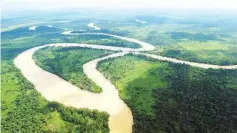  ??  ?? Nestle and Sime Darby Foundation have jointly replanted hundreds of thousands of trees to reduce pollutions of the 560km Kinabatang­an River, the second longest in Malaysia.