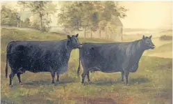  ??  ?? A painting that hangs in the Aberdeen-Angus Cattle Society’s Pedigree House in Perth. It depicts two of Thomas Smith’s champion cows against a backdrop of Powrie farmhouse and the ruins of Powrie Castle.