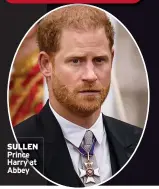  ?? ?? SULLEN
Prince Harry at Abbey