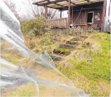  ?? FOTO: MARKUS LEHMANN ?? Hier in der aufgegeben­en Kleingarte­nanlage am Erzweg entsteht Aalens erste „Urbane Wildnis“. Hier soll sich die Natur das einst kultiviert­e Gelände zurückhole­n. Sie hat bereits damit angefangen.