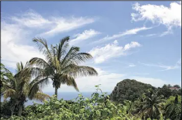  ?? MARY ANN ANDERSON PHOTOS / TNS ?? Saba is lush in tropical vegetation. Legend holds that the producers of the original 1933 King Kong movie were enthralled with its craggy, volcanic silhouette and used its likeness as Skull Island at the beginning of the film.