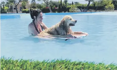  ?? Foto: Worldog ?? Der Aquapark bietet Badespaß für große und kleine Fellnasen