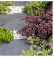 ?? ?? Planting pockets reduce paving costs and aid drainage