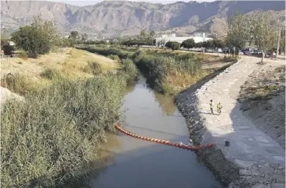  ?? Foto: CHS ?? Ein Netz im Río Segura soll Abfall aus Murcia abfangen. Doch viel nützt es nicht.