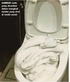  ??  ?? GAMBAR tuala yang disumbat dalam mangkuk tandas yang viral di media sosial.