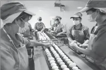  ?? CAO ZHENGPING / XINHUA ?? Right: Farmers check salted duck eggs at a factory in Hengdong county, Hengyang city, Hunan.