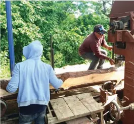  ?? ?? Una máquina con más de un siglo de existencia vuelve a su vida útil y alimenta proyectos de prosperida­d.