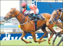  ?? Picture: JC Photograph­ics ?? VALUE. Flichity By Farr has been priced up at 15-1 and is worth a bet in the Gold Vase over 3000m at Greyville tomorrow.