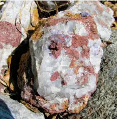  ??  ?? En ouverture : Le géologue Chris Pedersen montre la veine de quartz qu’il a découverte il y a quelques décennies. En haut : La mine Nechalacho. Ci-dessus : Bastnaésit­e coincée dans du quartz.