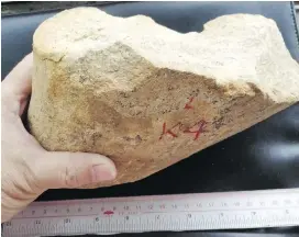  ??  ?? Archeologi­sts believe this piece of quartzite, found on the Loess Plateau in China, was struck by human-like creatures to create flakes with sharp edges.