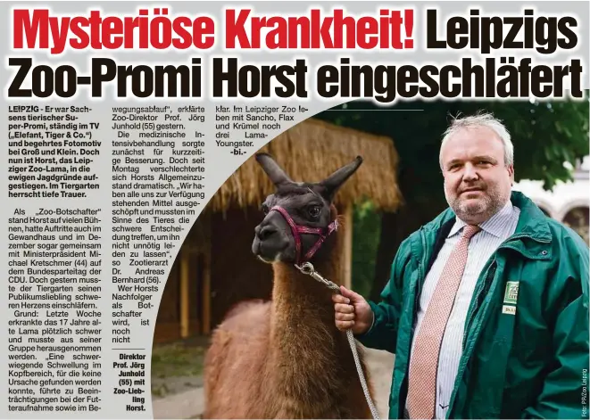  ??  ?? Direktor Prof. Jörg Junhold (55) mit Zoo-Liebling Horst.