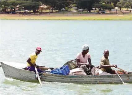  ??  ?? Some poachers use a canoe and nets to catch fish in Lake Chivero recently. Picture by Justin Mutenda.