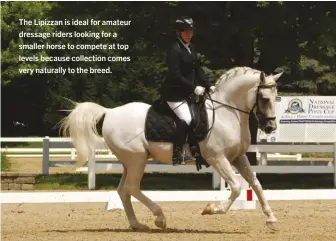  ??  ?? The Lipizzan is ideal for amateur dressage riders looking for a smaller horse to compete at top levels because collection comes very naturally to the breed.