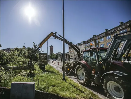  ?? Bild: ANDREAS OLSSON ?? PLATS FÖR NYTT. Där de fem lindarna stod ska det byggas busshållpl­ats och odlingsyto­r.