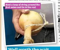  ??  ?? Knot a loop of string around the first onion and tie in the rest