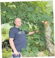  ??  ?? chairman Vandalism St Fillans Community Council
Stewart Gavigan beside a damaged tree