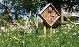  ??  ?? A ‘bee hotel’ in a city park. The structures have helped urban bee population­s to thrive by providing cavities for solitary bees to nest. Photograph: Sjoerd van der Hucht/Alamy