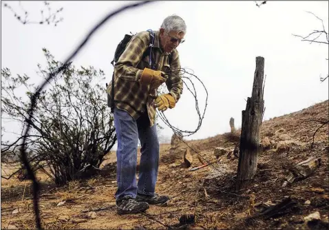  ?? (AP/The Daily News-Sun/Rachel Gibbons) ?? Jim Richards rolls up a length of old barbed wire Jan. 19 as part of the effort by a group of volunteers to remove the old fencing that was endangerin­g Sedona, Ariz., wildlife.