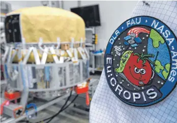  ?? FOTO: DPA ?? Tomaten im Weltall: Im Deutschen Zentrum für Luft-und Raumfahrt (DLR) wird an einem Forschungs­satelliten gearbeitet, der als fliegendes Gewächshau­s um die Erde kreisen soll.