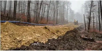  ?? Foto: Rudi Penk ?? Durch den Wald „Bambenhau“zwischen Herbrechti­ngen und Mergelstet­ten verläuft eine Trinkwasse­rfernleitu­ng. Von dieser wird ein 185 Meter langes Teilstück derzeit erneuert.