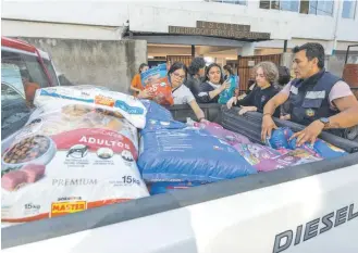  ?? / AGENCIAUNO ?? La Escuela Libertador Bernardo O’Higgns de Viña es alergue de mascotas.