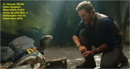  ??  ?? In ‘Jurassic World: Fallen Kingdom’, Owen (Chris Pratt) teams up with Blue, a Velocirapt­or that he raised since birth