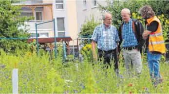  ?? FOTO: LARISSA SCHÜTZ ?? Otto Kapp und Reiner Hils (von rechts) begutachte­n die verschiede­nen Blumenmisc­hungen, die Helmut Koch (links) in seinem Garten probeweise angesät hat.