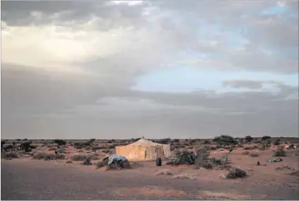  ?? Photos: Zohra Bensemra & Ramzi Boudina/Reuters ?? New horizons: The Western Saharan desert (above) may be inhospitab­le, but it’s home to thousands of Sahrawi people. The Polisario Front (below) is among those hoping the African Union will put pressure on new member Morocco to withdraw from the...