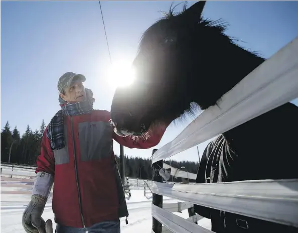  ?? DAVID BLOOM ?? Bill Neis visits with Haven at the Whitemud Equine Centre. Formally homeless and addicted to drugs, Neis now visits the centre as part of the Making Strides equine therapy program. “I wasn’t going to survive another winter,” says Neis of the impact the program has had on his life.