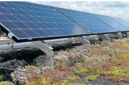  ?? FOTO: DPA ?? Für ein Solargründ­ach eignen sich niedrig wachsende Pflanzen, die Trockenhei­t gut vertragen.