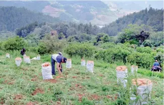  ?? F. EXTERNA ?? República Dominicana es un país eminenteme­nte agrícola, con clima variado.