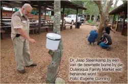  ??  ?? Dr. Jaap Steenkamp by een van die besmette bome by die Outeniqua Family Market wat behandel word.Foto: Eugene Gunning