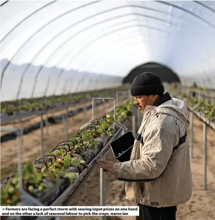  ?? ?? > Farmers are facing a perfect storm with soaring input prices on one hand and on the other a lack of seasonal labour to pick the crops, warns Ian