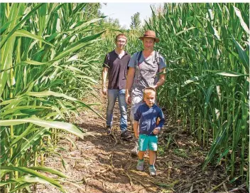  ??  ?? Viele Besucher tummeln sich zwischen den Maispflanz­en auf der Suche nach dem richtigen Weg und allen Stempeln. Hier: Tom aus Dillingen mit Papa und Bruder.