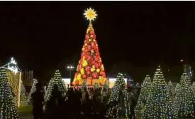  ??  ?? The Christmas Forest of Lights featuring 30 8-ft forest trees with light synchroniz­ation