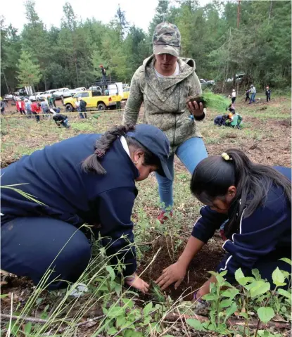  ?? ESPECIAL ?? La reforestac­ión 2018 está en riesgo de perderse.