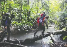  ?? CHAIDEER MAHyuDDIN/AFP/GETTY IMAGES ?? The Leuser rainforest in northern Sumatra is part of a new game app to build mapping informatio­n.