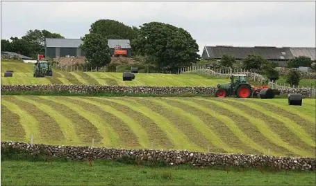  ??  ?? Farm income will be down substantia­lly across all the main farm systems in 2018, the new Teagasc report cautions.