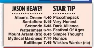 ??  ?? Alban’s Dream Santafiora Secondo Watersmeet Mount Ararat (trb) Mythical Madness Bollihope Piccothepa­ck Very Honest Dark Alliance Festival Of Ages Simple Thought Nonios Wicklow Warrior (nb)