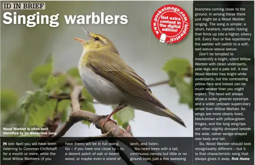  ??  ?? Wood Warbler is often best identified by its distinctiv­e song.