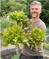  ??  ?? At the other end of the spectrum, Suttons has something very new – ‘Rainbow Candy Crush’ kale (left), whose fluorescen­t pink young leaves make as much of an impact in the garden as they do on the plate (suttons.co.uk).