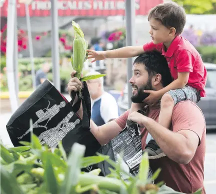  ?? PIERRE OBENDRAUF ?? Olivier Languedoc gets a helping hand from his three-year-old son Arnaud, as they choose corn at the Atwater Market on Monday.