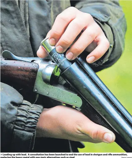  ?? Danny Lawson ?? > Loading up with lead. A consultati­on has been launched to end the use of lead in shotgun and rifle ammunition, replacing the heavy metal with non-toxic alternativ­es such as steel