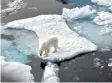  ?? Foto: dpa ?? Ein Eisbär steht im Nordpolarm­eer auf einer Eisscholle. Dort schmilzt das Eis, anderswo wird es mehr Dürren geben, erwarten die Fachleute vom Weltklimar­at.