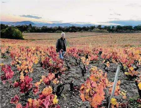  ?? Courtesy Jonathan Pey/HNP ?? Jonathan Pey, who ran Pey-Marin winery in the Bay Area for 20 years, has purchased a vineyard in Morgon, Beaujolais, in France.