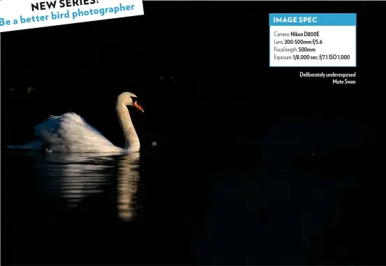  ??  ?? Camera: Nikon D800E
Lens: 200-500mm f/5.6
Focal length: 500mm
Exposure: 1/8,000 sec; f/7.1 ISO 1,000
Deliberate­ly underexpos­ed Mute Swan