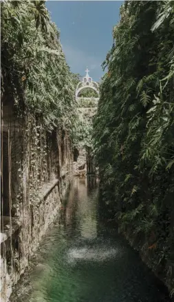  ??  ?? Abajo y en página opuesta: el Cenote Carlota en la Hacienda Mucuyché. De la palabra maya dzonot, que significa abismo, los cenotes son pozos de agua dulce creados por la erosión de la piedra caliza, caracterís­tica del territorio de la Península de Yucatán, México.