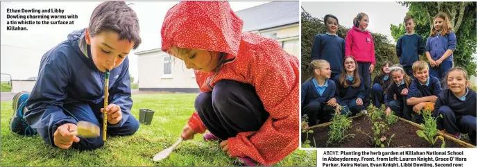  ??  ?? Ethan Dowling and Libby Dowling charming worms with a tin whistle to the surface at Killahan.
ABOVE: Planting the herb garden at Killahan National School in Abbeydorne­y. Front, from left: Lauren Knight, Grace O’ Hara Parker, Keira Nolan, Evan Knight,...