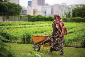  ?? Photograph: Billy Delfs ?? Refugee Response’s services include in-home tutoring, work on one of the largest urban farms in the country and a program for high school students.